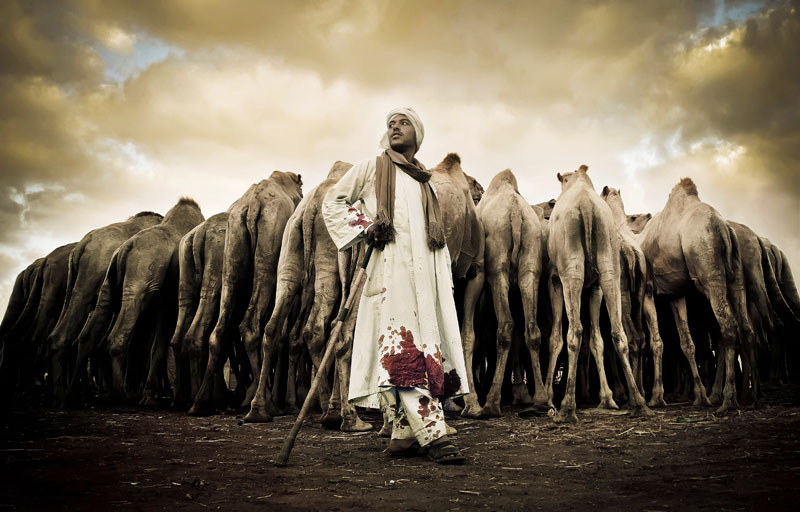 نقره لعرض الصورة في صفحة مستقلة