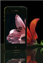 Lilium Mobile