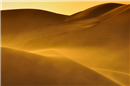 Desert II